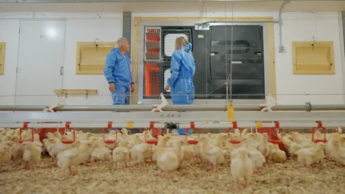 Visuel cas clients EÉ Capture décran PONDEUSE