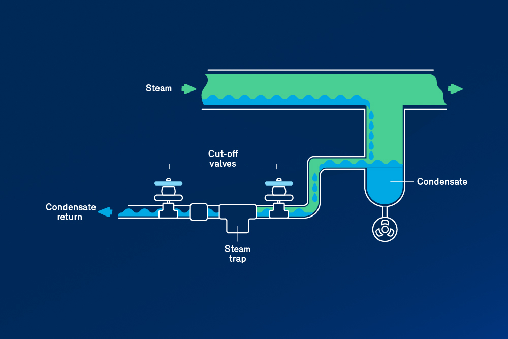 energy efficiency - prevent steam leaks